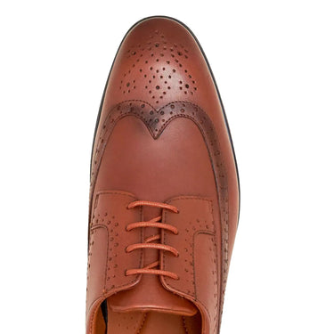 Tan Brogue Lace - Up – Genuine Leather Formal Shoes for Kilt Wear - Kilt Experts