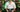 Why Kilts Are Perfect for Saint Patrick’s Day Celebrations - Kilt Experts