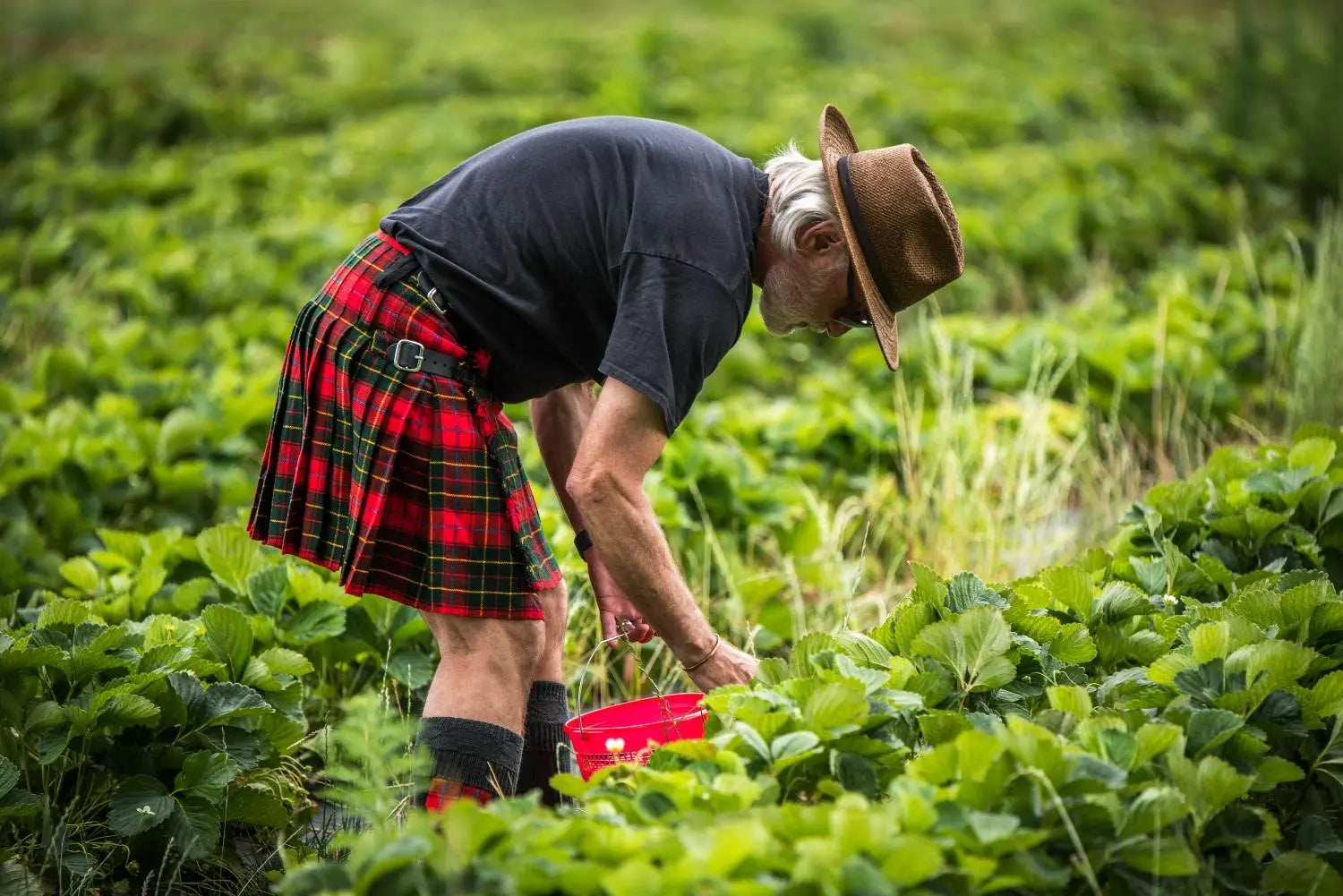 Kilt Experts